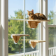 Window Cat Platform