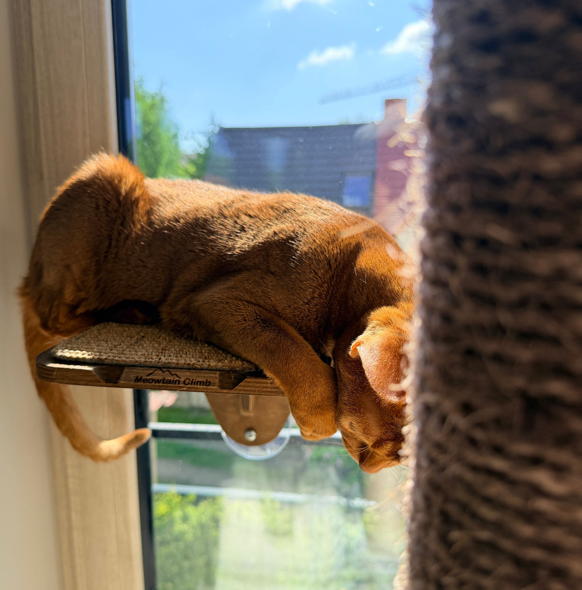 Window Cat Platform