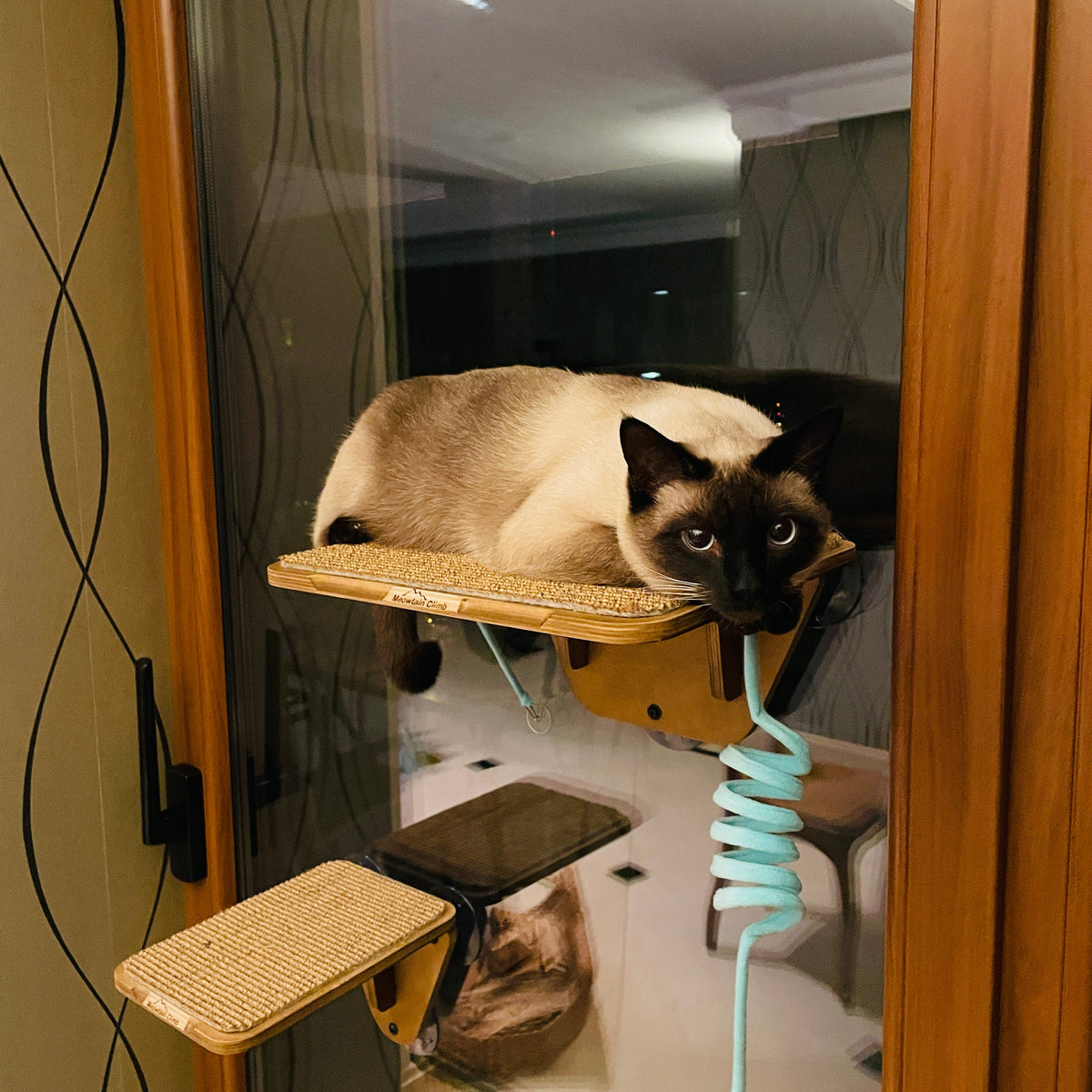 Window Cat Platform