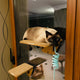 Indoor Cat Activity System