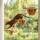 Indoor Cat Activity System