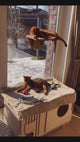 Window Cat Platform