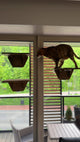 Indoor Cat Activity System
