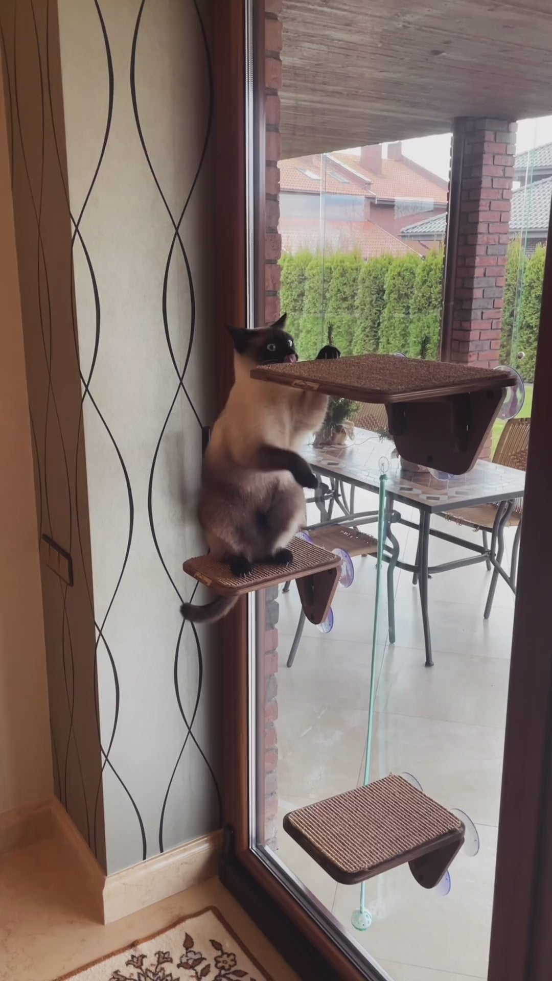 Window Cat Platform