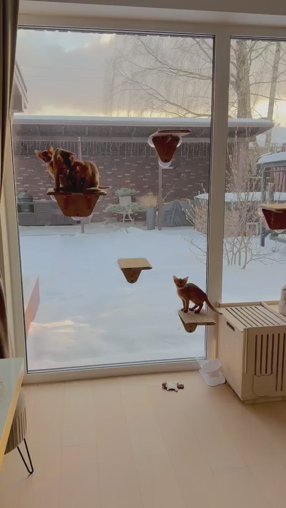 Window Cat Platform