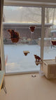 Window Cat Platform