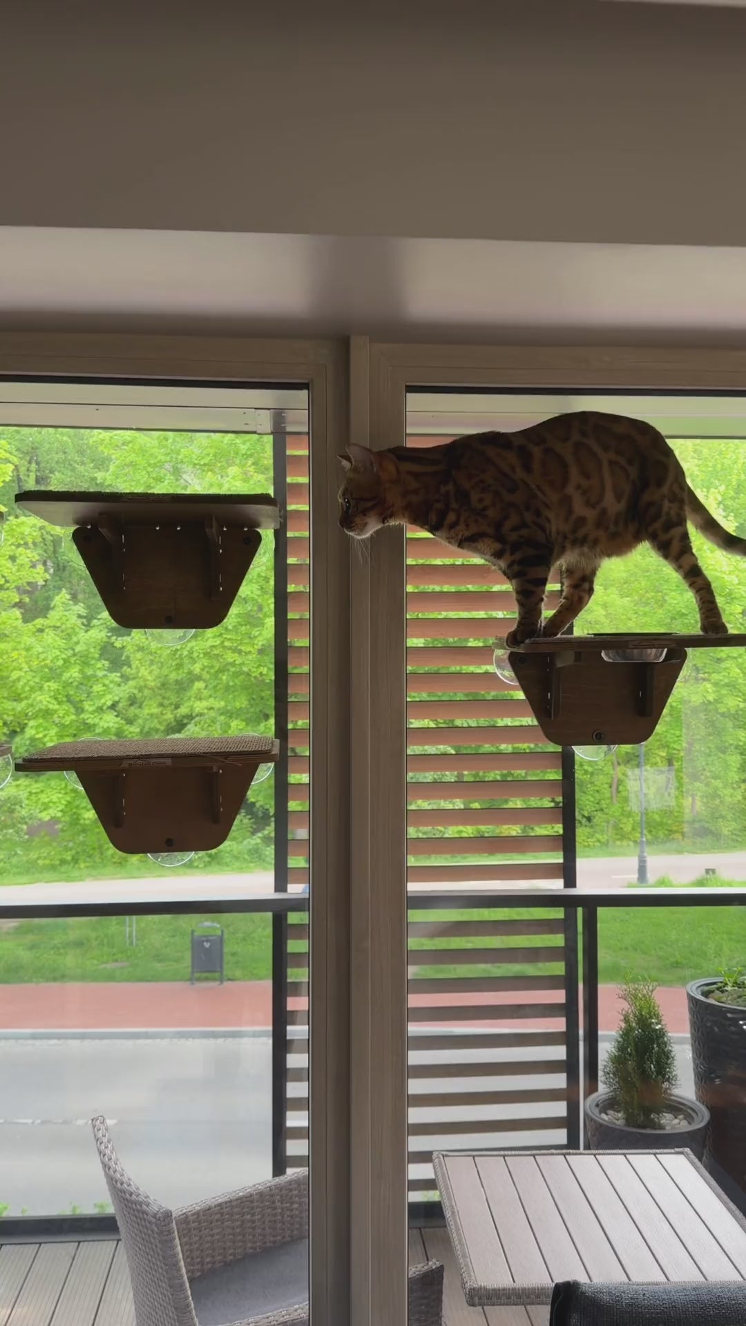 Window Cat Platform
