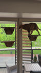 Window Cat Platform