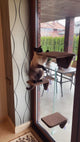 Indoor Cat Activity System